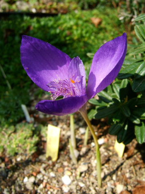 DSCF9814.JPG