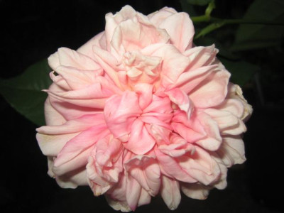 anna_jung_23-09-2009_001_Small.jpg
