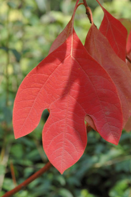 Img0030.jpg