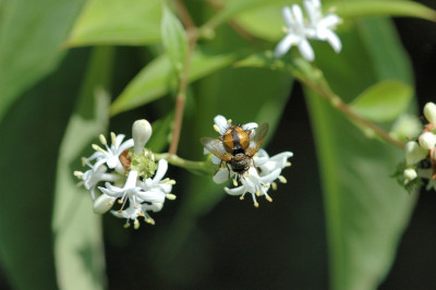 Img0045.jpg