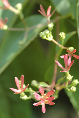 Img0046.jpg