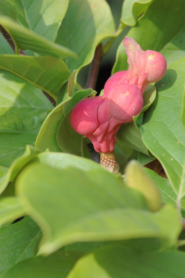 Img0061.jpg