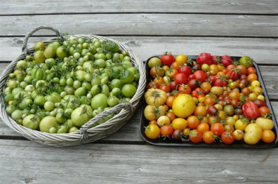 26.09.2009.60.JPG