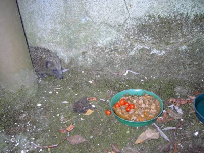 PICT3695.JPG