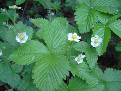 PICT2640.JPG