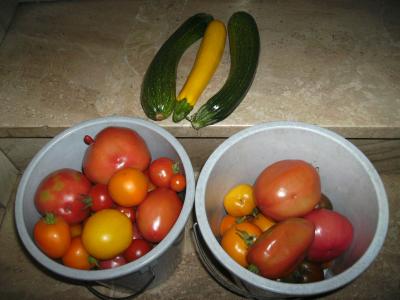 tomatenzucchinigestern.jpg