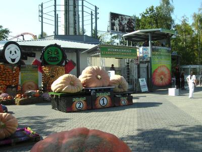 SiegerinH.jpg