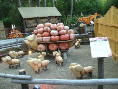 Kurbisschweine.jpg