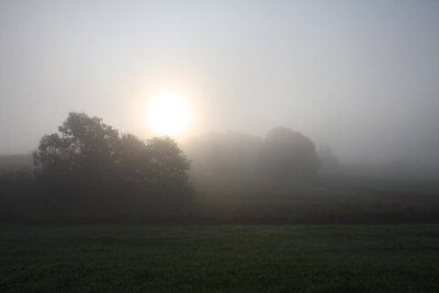 Morgen-Nebel-Stimmung.jpg