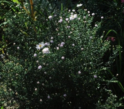 27_._09_._09_228.jpg