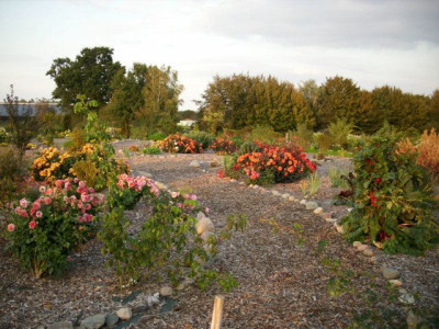 rosenpark_1.jpg