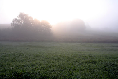 Nebel-am-Morgen-2.jpg