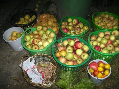 QuittenundApfel.jpg