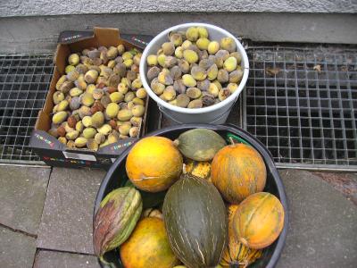 MandelnundMelonen.jpg