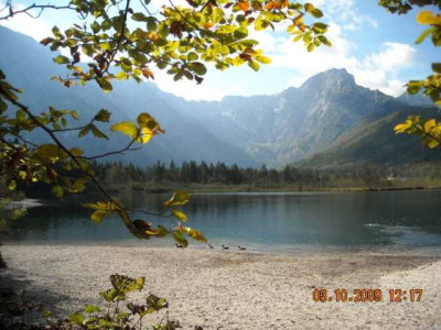 DSCN3434_almsee.jpg