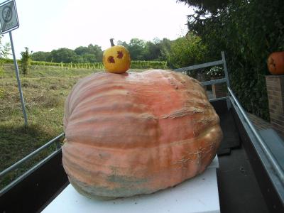 RieseundZwerg.jpg