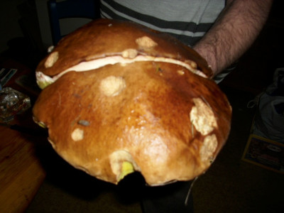 033pilz.jpg