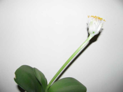 K640_IMG_1114.JPG