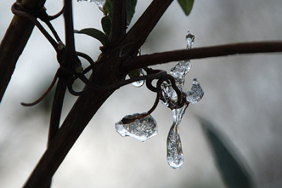 0046_eiskristalle.jpg