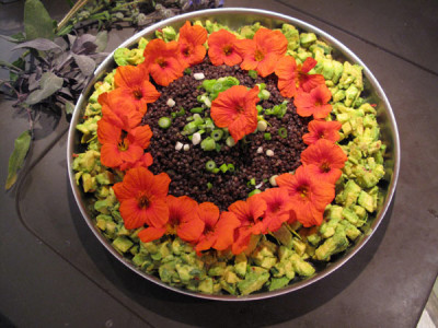 linsen_avokado_0469.jpg