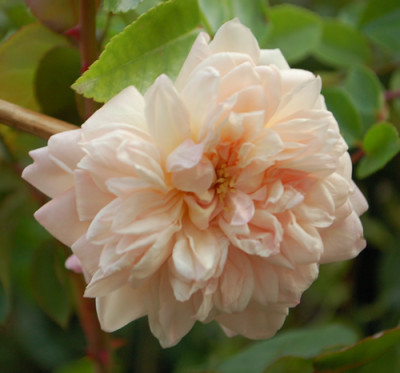 Paul_Transon_0010__60750.jpg