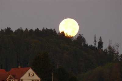 04.10.2009.20.JPG