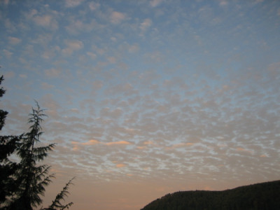 IMG_4124.jpg