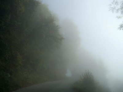 100_9775.JPG