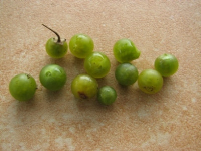 greenberries.jpg