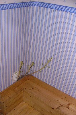 Durchwuchs_1.jpg