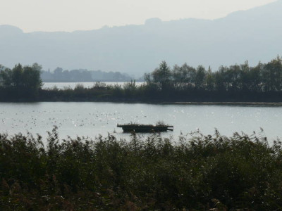 P1230687.JPG