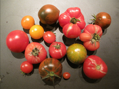 tomaten_09_10_06.jpg