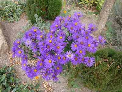Img4809.JPG