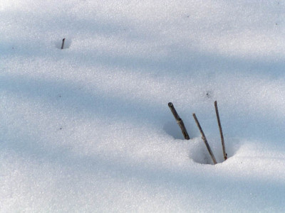 minimalismus_im_maerz_1.jpg