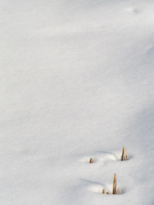 minimalismus_im_maerz_2.jpg