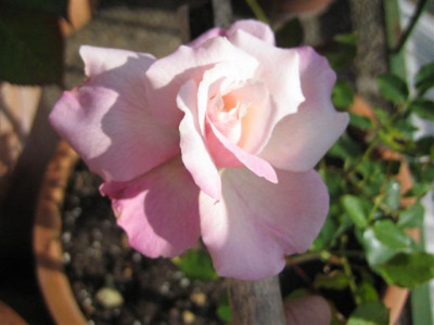 10-10-2009_015_Small.jpg