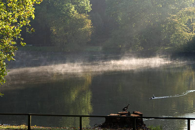 Nebel-im-Park-2-Okt0909.jpg