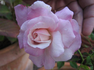 11-10-2009_009_Small.jpg
