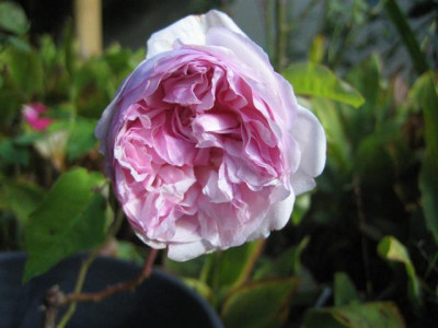 11-10-2009_010_Small.jpg