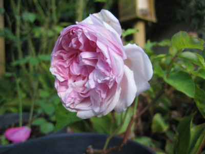 11-10-2009_012_Small.jpg