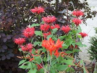 Bild_014.jpg