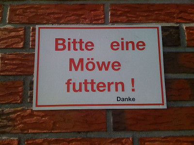 nordsee2009_eidersperrwerk_schild2.jpg