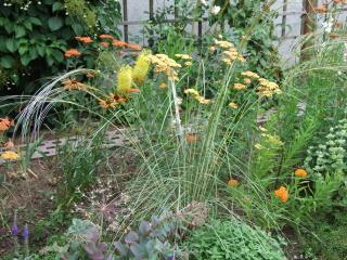 Bild_235.jpg