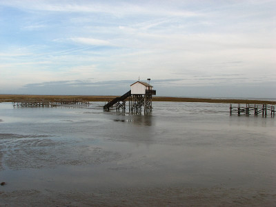 nordsee2009_strand_st_peter-ording4.jpg