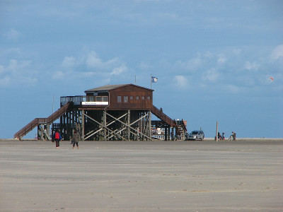 nordsee2009_strand_st_peter-ording_silbermoewe_ording.jpg