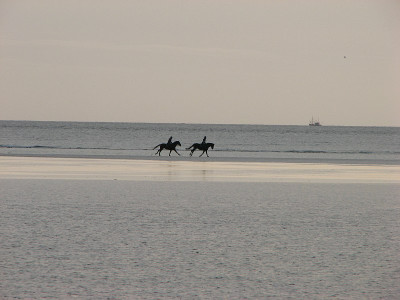 nordsee2009_strand_st_peter-ording_ausritt.jpg