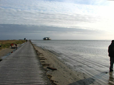 nordsee2009_strand_st_peter-ording5.jpg