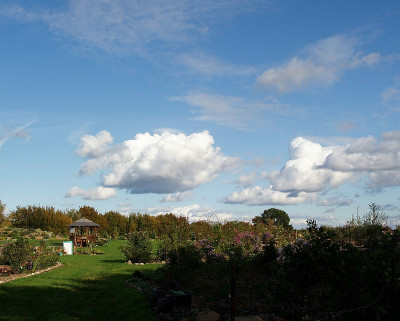 labenz_rosenpark3_oktober2009.jpg