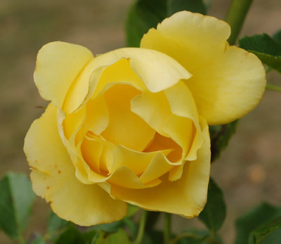 Mountbatten_0010__60847.jpg