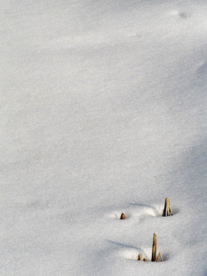 minimalismus_im_maerz_2_reload.jpg